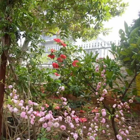 Apartment Banjole 17398c